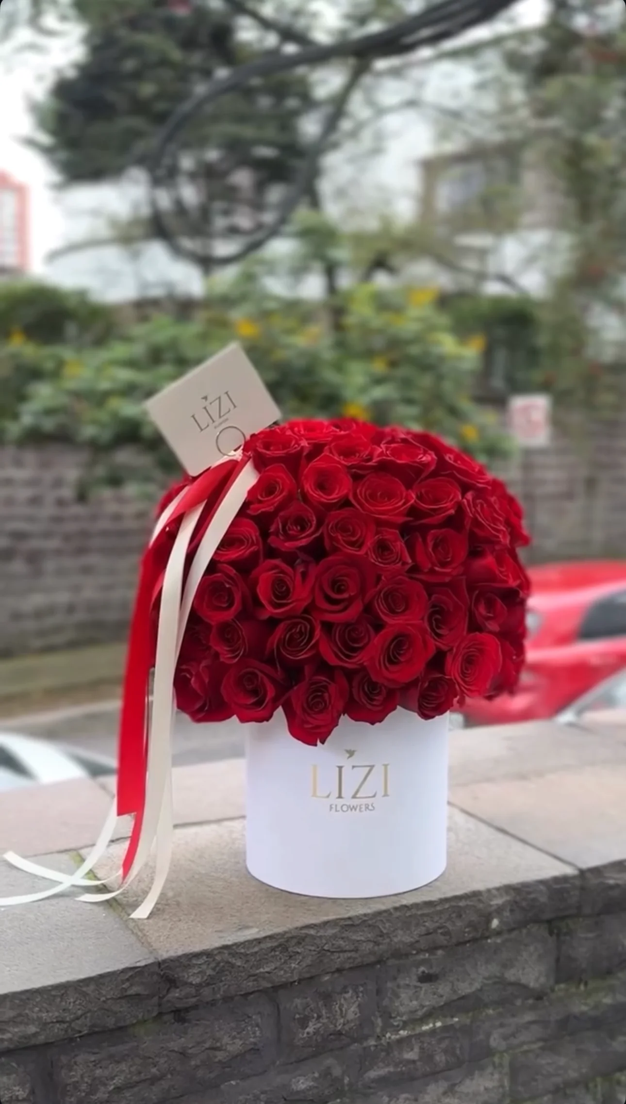 Arreglo cilíndrico de rosas rojas con cintas blancas