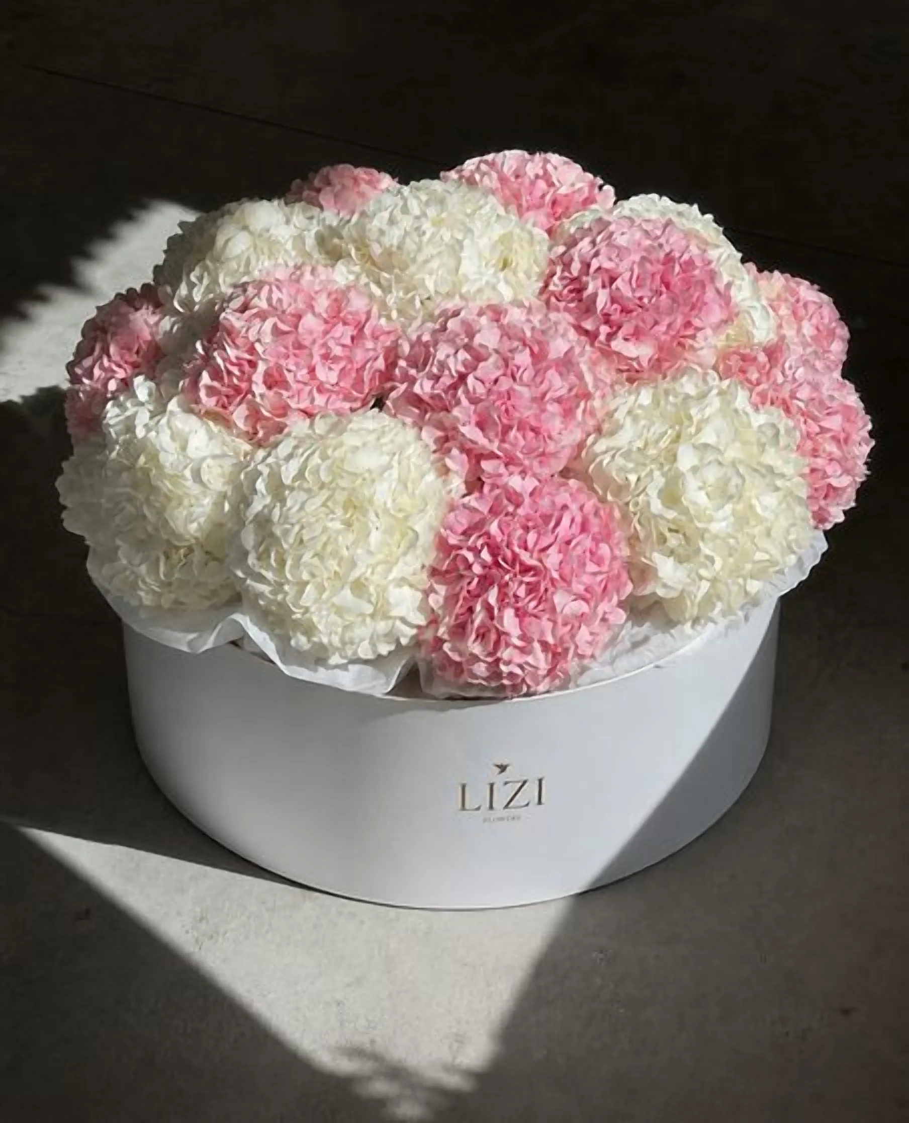 Hortensias · S