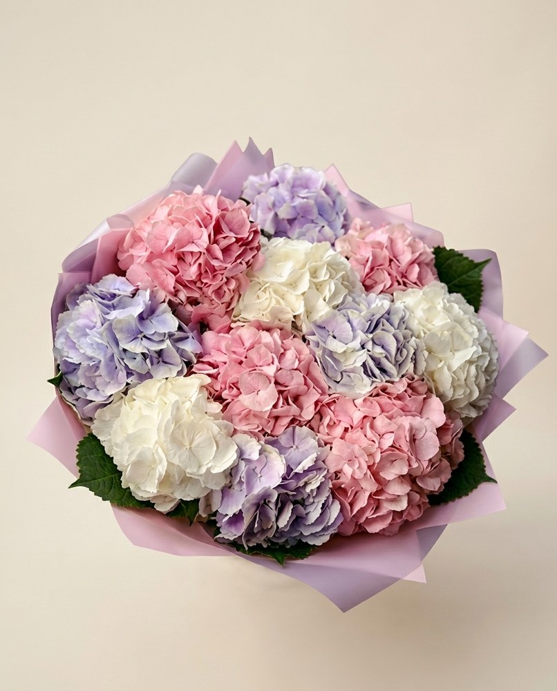 Hortensias · Large