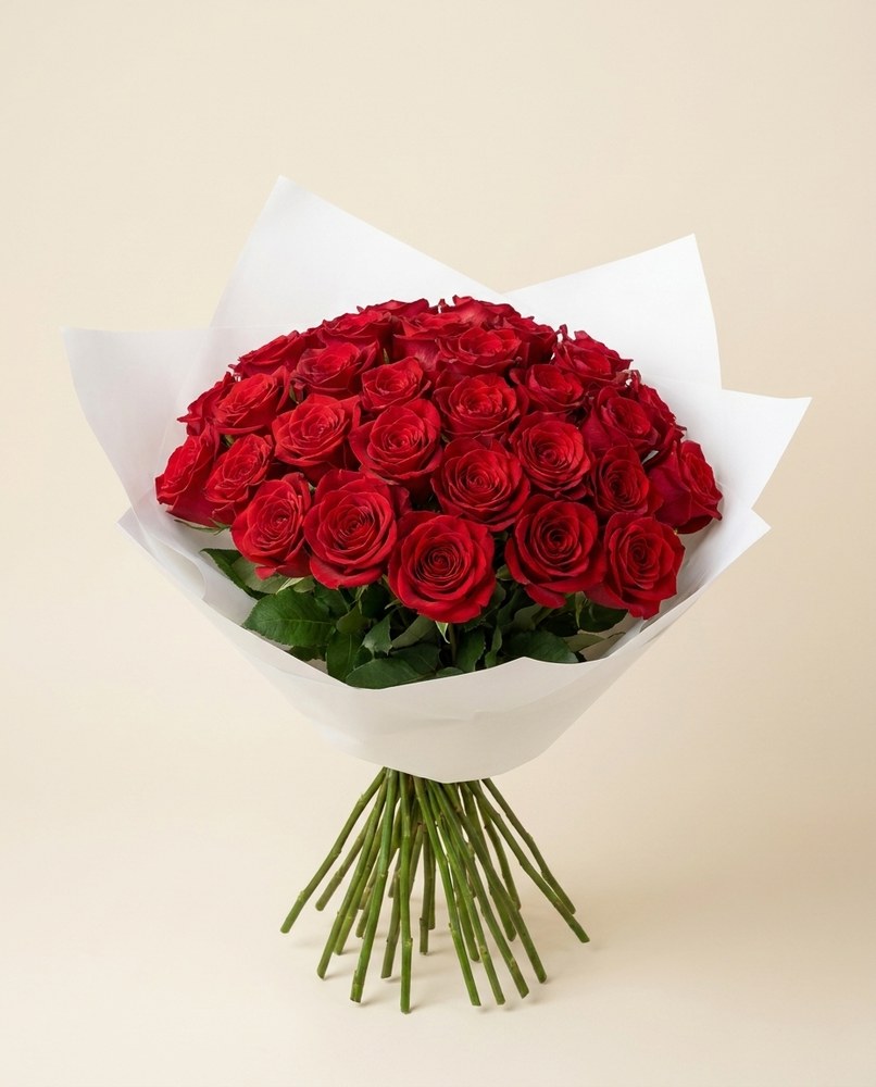 Rosas · 25 tallos