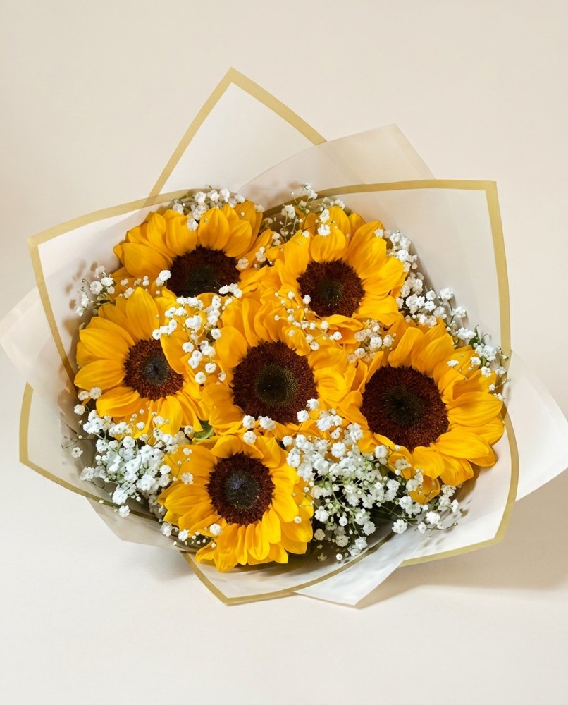Girasoles
