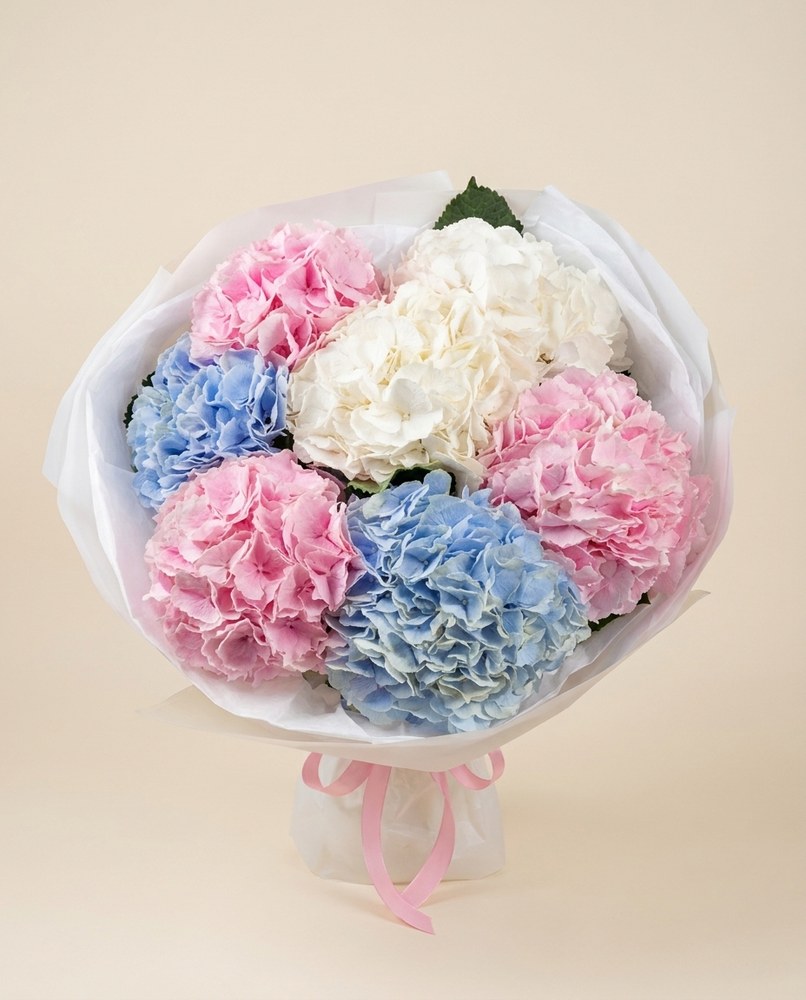 Hortensias · Small