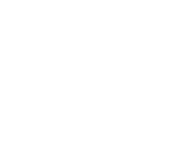 Lizi Flowers